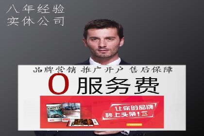 SEO百度推广策略：成功案例解析